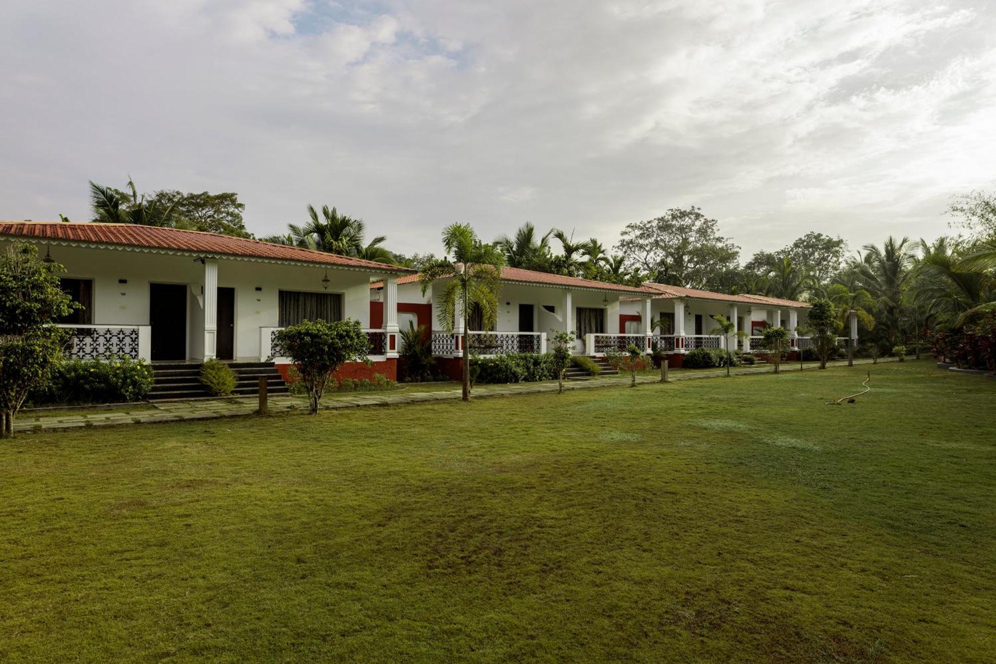 Wild Berry Resort Agonda Канакона Екстер'єр фото
